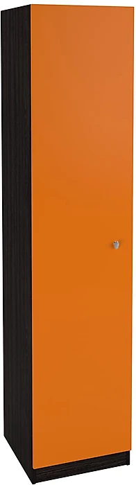 Однодверный распашной шкаф РВ-1 Дизайн-5
